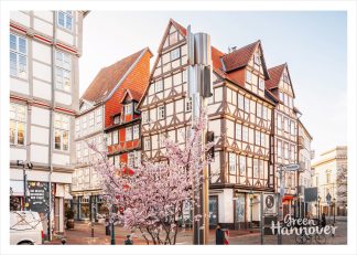 Postkarte Holzmarkt Hannover im Frühling